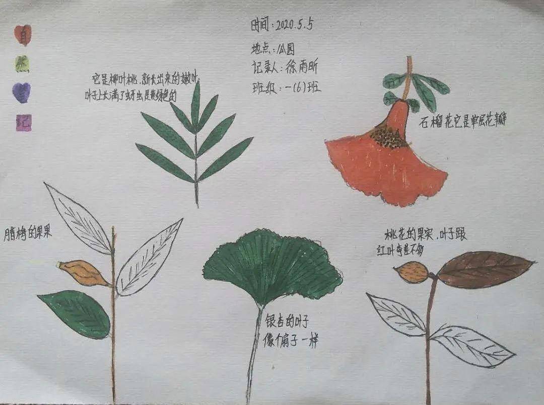 自然笔记我与自然的相遇第六波入围作品