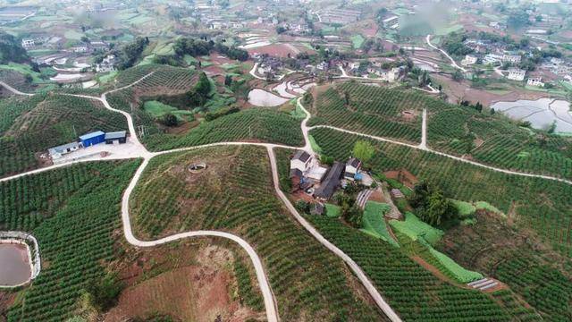 大安202004产业兴旺致富奔小康回龙镇关帝村旧颜换新貌的特色脱贫路径