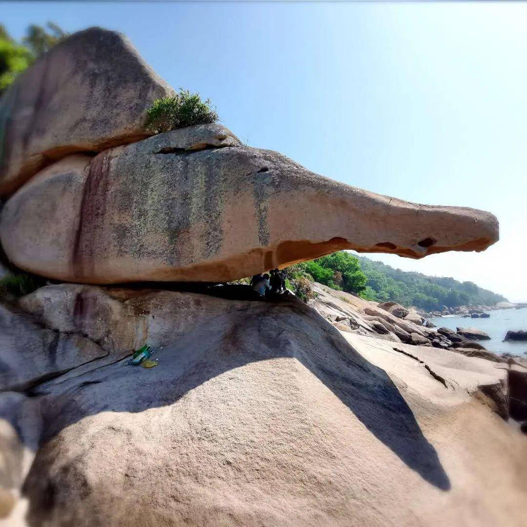 霞浦又添新景啦!这个周末去看看!_梅花村