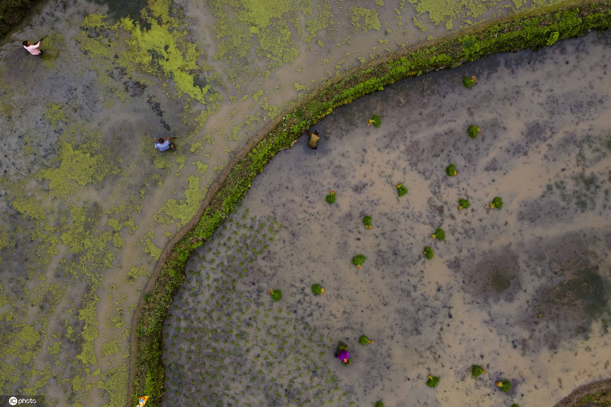 2020湘西自治州各县g_湘西土家族苗族自治州(3)