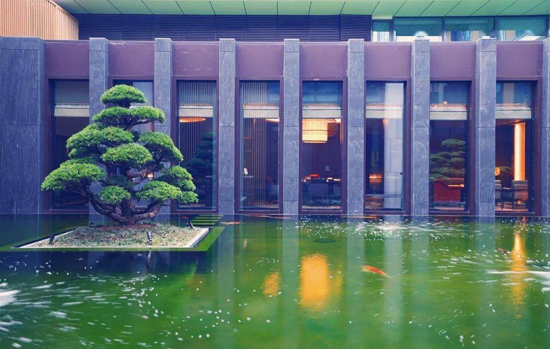 2020年最值得期待酒店苏州柏悦酒店独家实景图曝光苏式湖畔府邸等你来