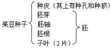 初中生物:知识点梳理和思维导图,初一初二考生必看