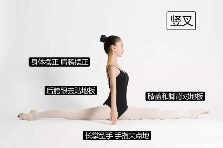 艺术培训 | "艺术小站"—中国舞基本功训练干货图解!