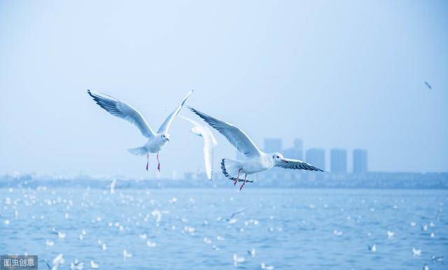 GDP文山州2020_文山州地图(2)