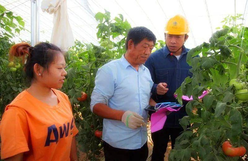 5月26日,  河南驻马店上蔡供电公司员工张磊,李建峰在蔡沟镇后时村向
