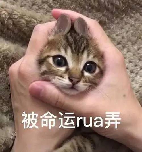 08cb09060b7c4920ba266bdffa8d40f0.jpeg