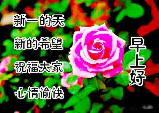 98cc84726f73459c8c01597e0cfb7808.jpeg