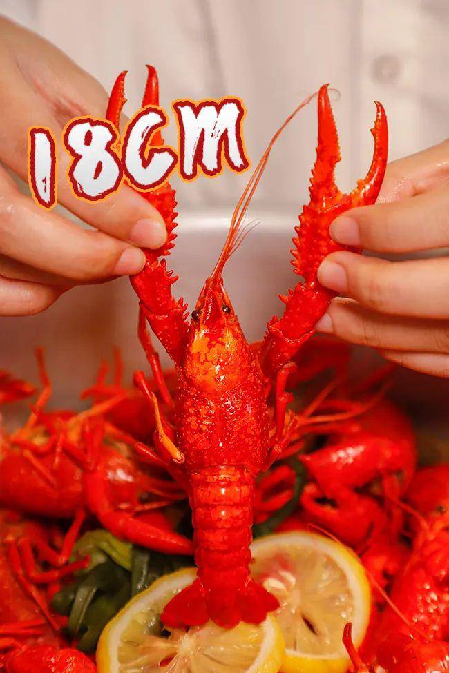 b3356df4d18b47ff891691b8c8856abf.jpeg