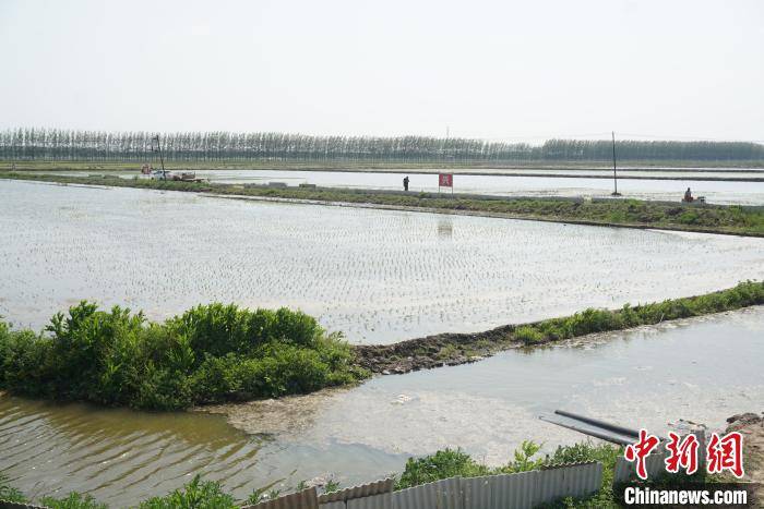 瀋陽法庫生產百萬畝特色作物 形成農村電商新格局 科技 第3張