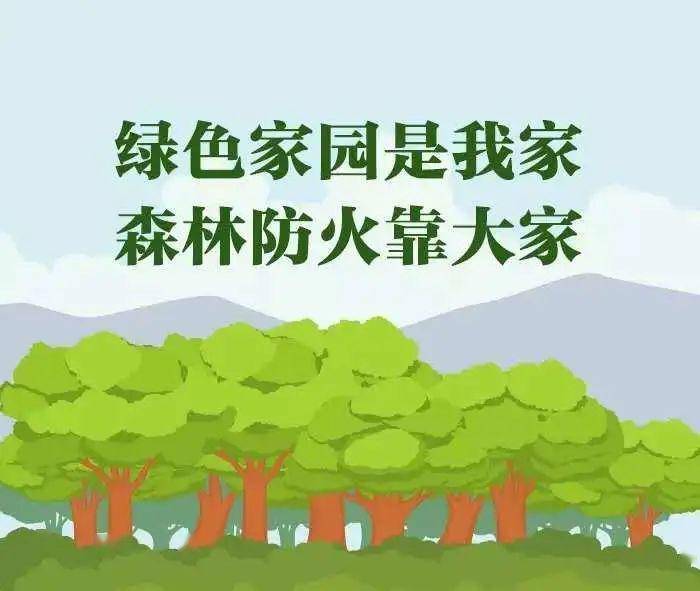 学习森林防火知识,保护森林资源安全!