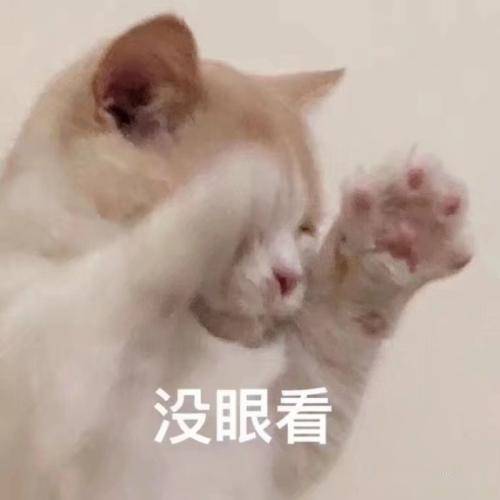 f672427b4c8a4d239942c9db3ee1c517.jpeg