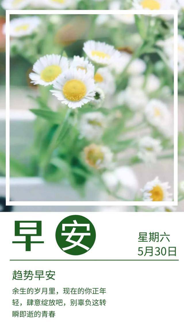 早安问候:要想生活对你笑,你就得先对生活微笑,新的一天,早安