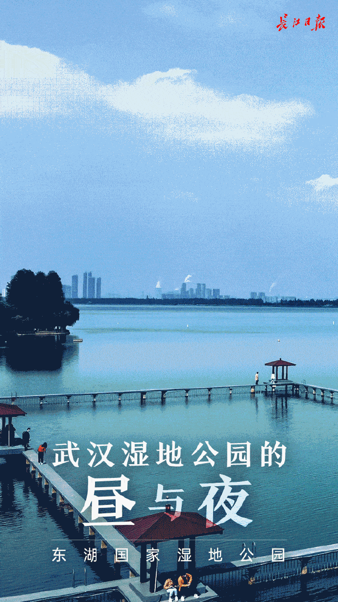 武汉湿地公园为保护动植物未设路灯