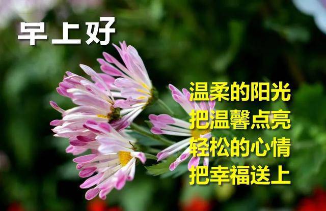 夏季早上好图片大全祝福语,最新版早上好问候语,早上好