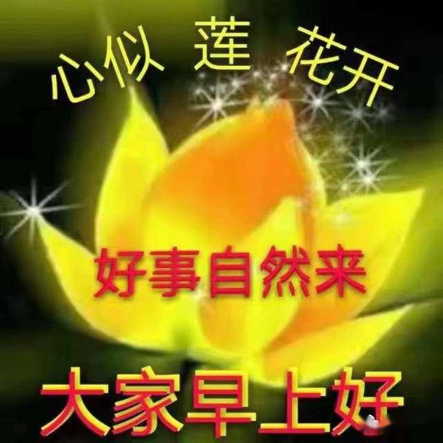 最好的运气是善良 bd49338b5cef4d838756acc7527b4300.jpeg