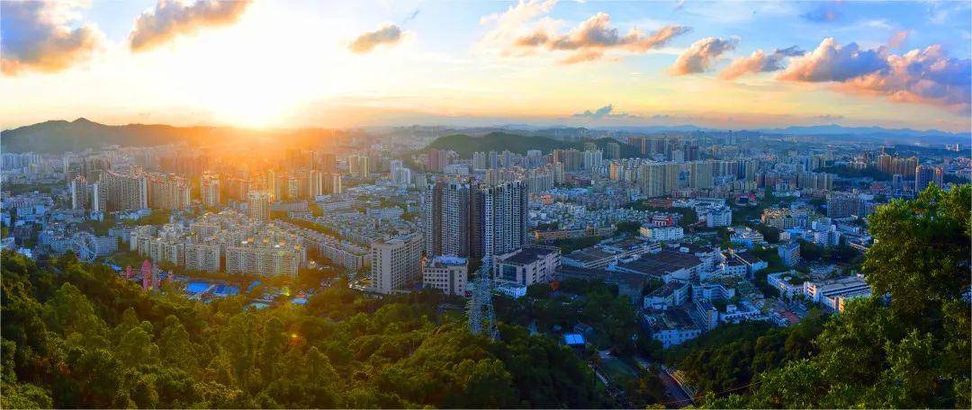 美好布吉 佳纷南湾丨庆祝深圳经济特区建立40周年摄影大赛征稿开启