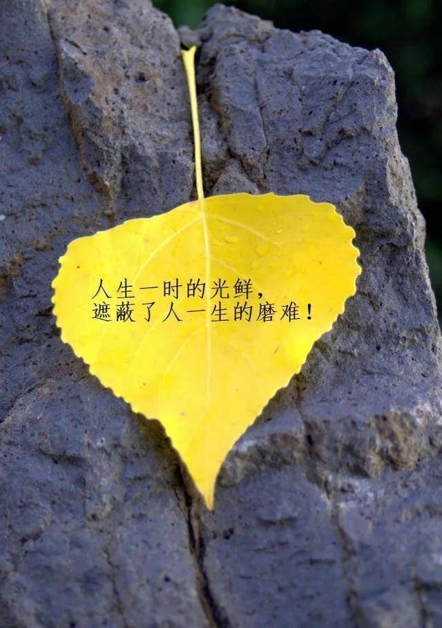 付出就会有收获,或大或小或迟或早,始终不会辜负你的努力,早安
