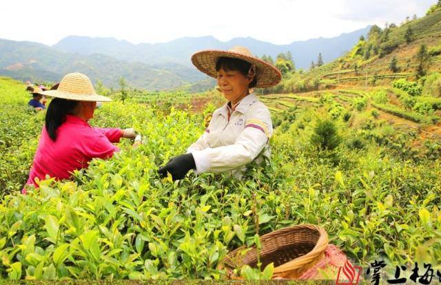 丰顺县有多少人口_人人人 丰顺高速出口来了好多人(2)