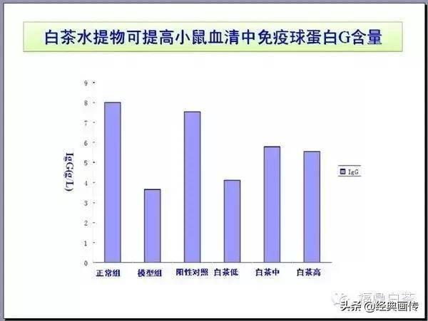 福鼎鼎盛钢铁能给福鼎多少gdp_实时(3)