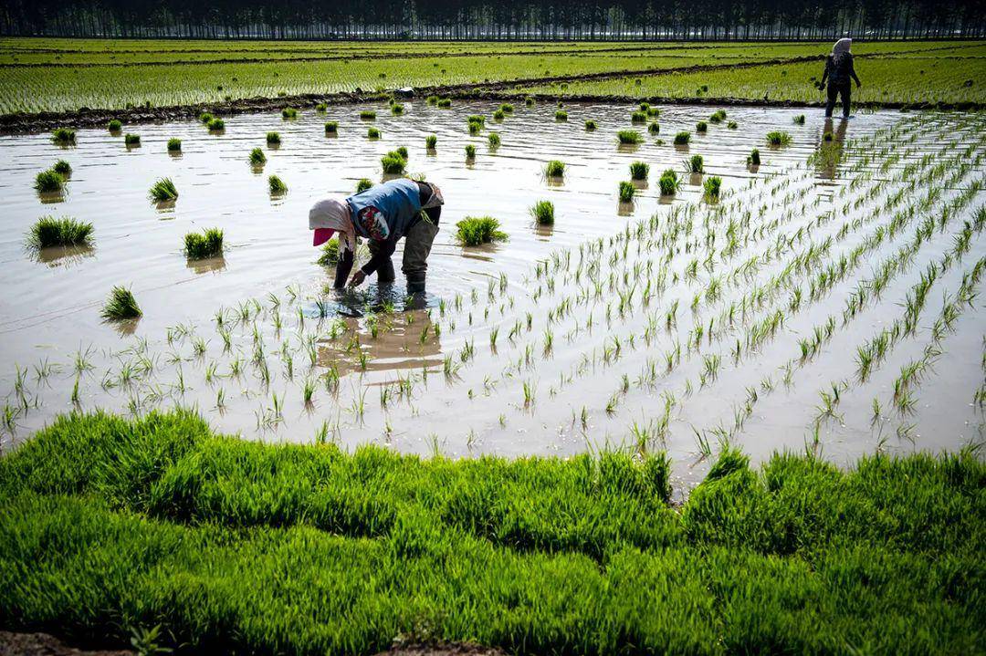 河北孟2020gdp_2020姓氏微信头像孟(2)