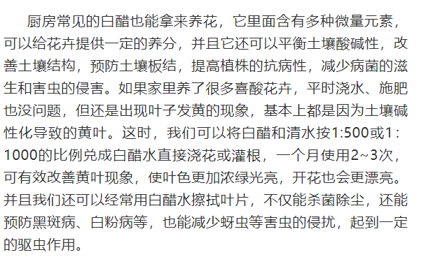 黄叶曲谱_黄叶卡通图片(3)