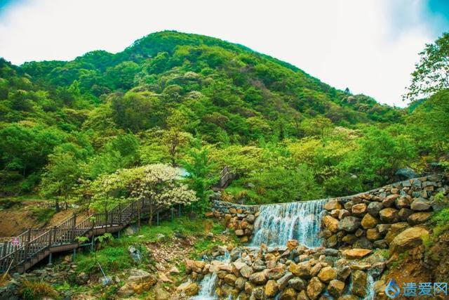 英山这三座山寨,林海千里,空气清新,夏天必打卡