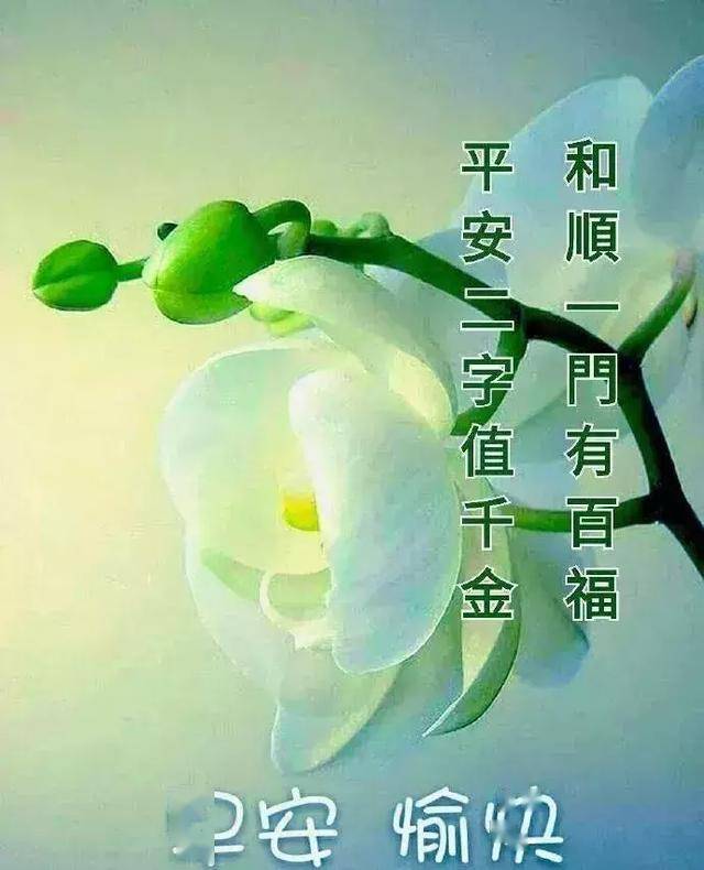 每天,第一个愿望送给你,愿你永远幸福又温馨,早安