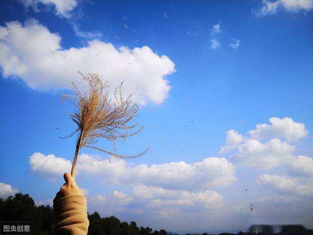只想放空自己,就让烦恼随风飘去