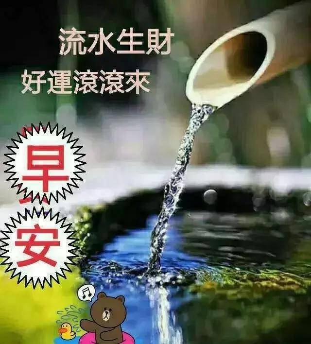 ba27d1d1b7bd4028b9b7bb0de4dcdca2.jpeg