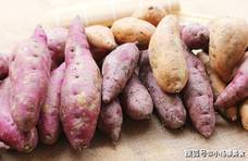 现在红薯正便宜，几毛钱一斤，制作成红薯干，鲜艳透亮，越嚼越香