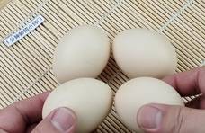 鸡蛋不要水煮了，只需一块布，1分钟煮出锅，鸡蛋不破壳老嫩适中
