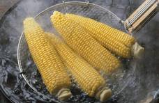 煮玉米用沸水还是冷水？大多数人选错了，难怪煮出来的玉米不好吃