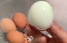 无论煮啥蛋，不要直接用开水！做好2步，蛋壳自动脱落