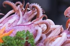 海螺“尾部”是黄还是“屎”？很多人不明白，不会吃就别乱吃！