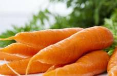 今天才知道，胡萝卜不能乱吃，记住5点，才会越吃越健康