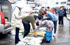 春分节气吃在青岛，3种海鲜体肥肉嫩，价格小贵但绝对正宗野生货