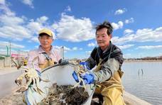 又到吃蟹季！浦东本地大闸蟹上市啦