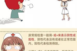 漫画说体检   被忽视的尿常规报告单,原来这样就能读懂