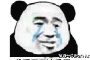 笑话:朋友最近压力大,晚上做噩梦,梦到自己变成狗了