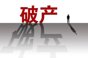 南通东盛之花印染有限公司重整投资人招募公告