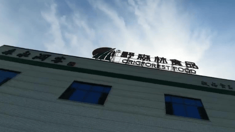 迈向绿色崛起之路，野森林如何逆势增长