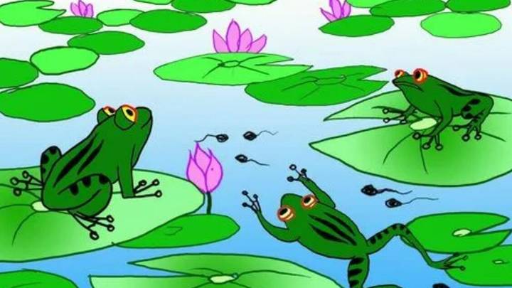小蝌蚪的妈妈一定是青蛙吗?
