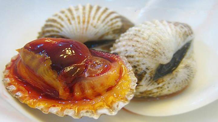 温州菜馆在上海销售禁止经营食品血蛤,被罚10万余元,是否处罚过重?