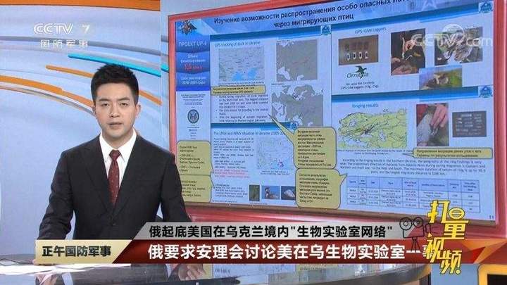 你支持安理会调查美国在乌生物实验室吗?