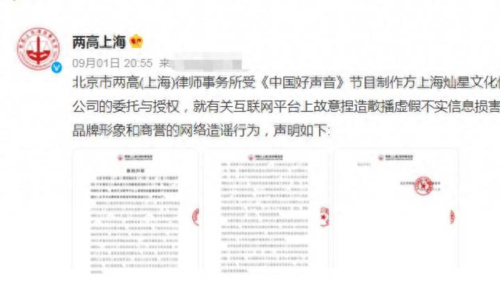 港媒曝那英姐姐赴港被捕,刘德华疑成关键人物,你怎么看?