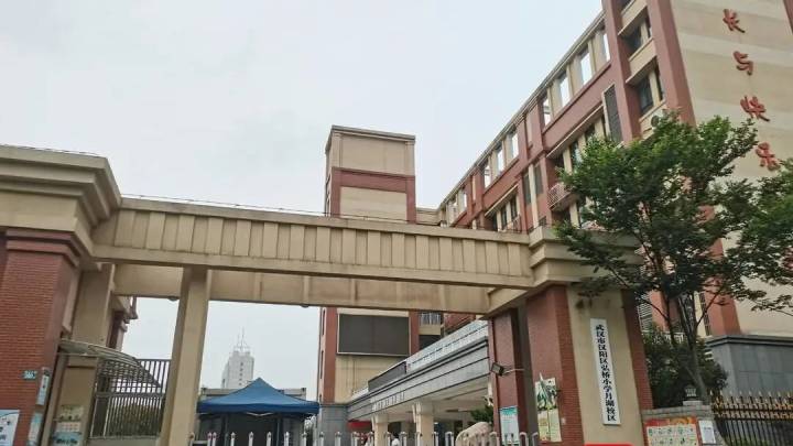 一小学生在校内被老师驾车碾轧致死,司机应该负刑事责任吗?