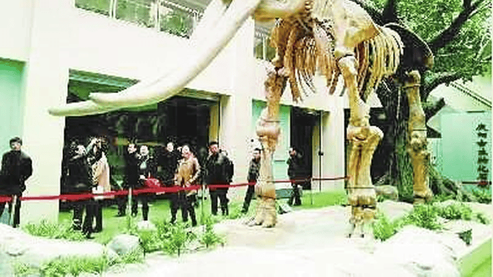 甘肃合水十名农民盗挖龙骨被起诉,你支持重判吗?