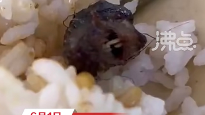 江西一高职食堂饭菜中吃出老鼠头,校方称当事人已确认为鸭脖,你相信吗?