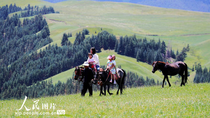 甘肃肃南康乐草原迎来旅游旺季,你去过吗?