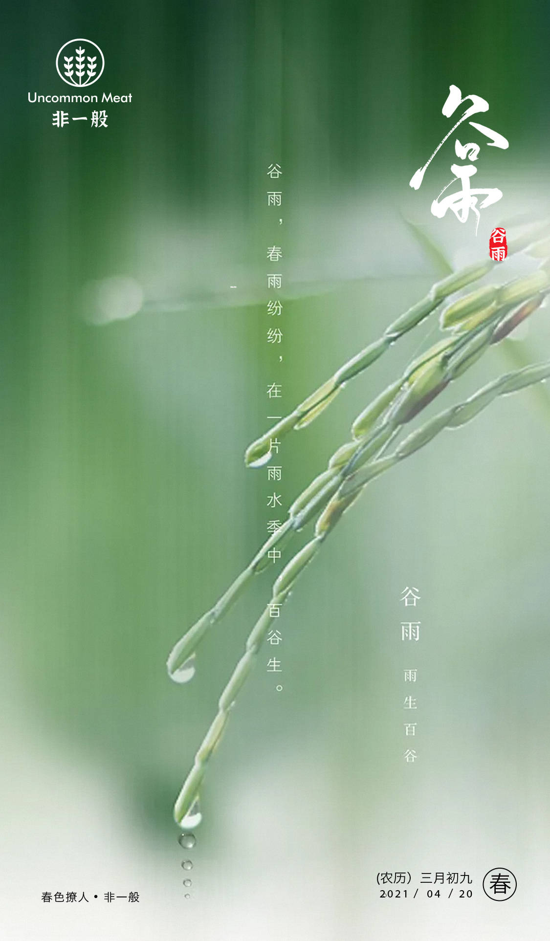 1/ 12 #谷雨 雨生百谷润物无声 在这个万物生长的季节 非一般食品和